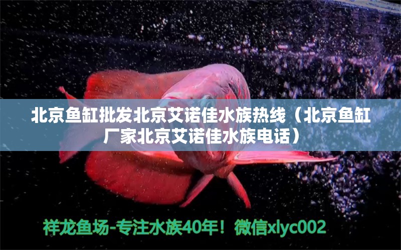 北京魚缸批發(fā)北京艾諾佳水族熱線（北京魚缸廠家北京艾諾佳水族電話）