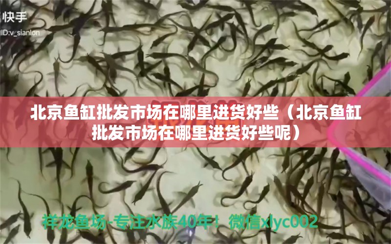 北京魚缸批發(fā)市場在哪里進(jìn)貨好些（北京魚缸批發(fā)市場在哪里進(jìn)貨好些呢）