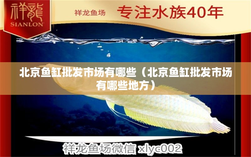 北京魚缸批發(fā)市場有哪些（北京魚缸批發(fā)市場有哪些地方） 其他品牌魚缸