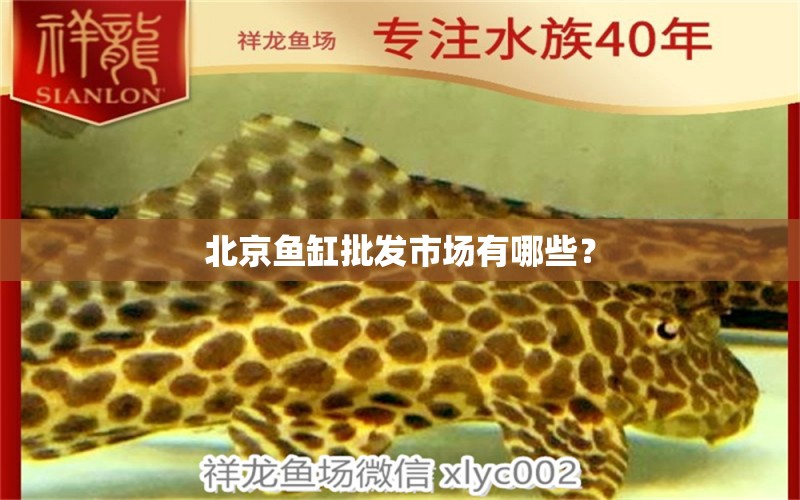 北京魚缸批發(fā)市場有哪些？ 觀賞魚