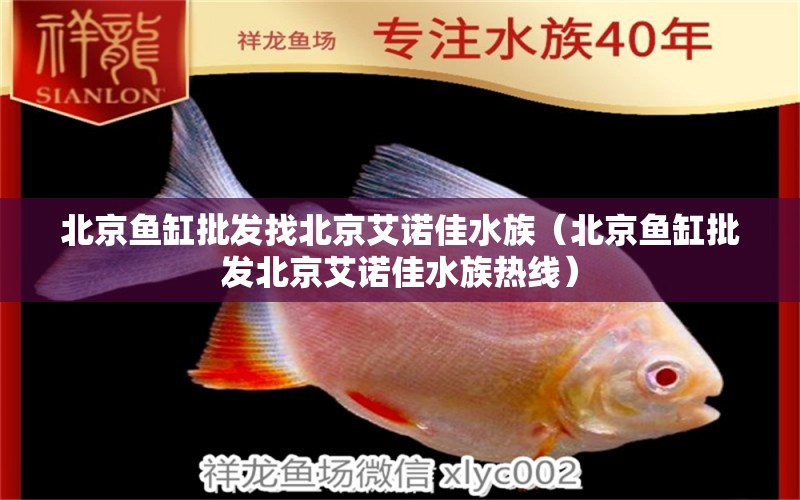 北京魚(yú)缸批發(fā)找北京艾諾佳水族（北京魚(yú)缸批發(fā)北京艾諾佳水族熱線） 其他品牌魚(yú)缸