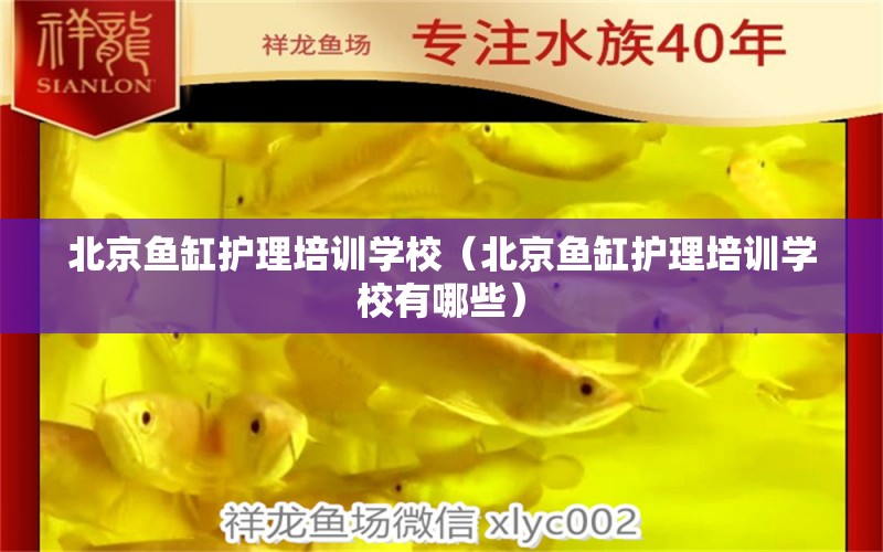 北京魚缸護理培訓(xùn)學(xué)校（北京魚缸護理培訓(xùn)學(xué)校有哪些）