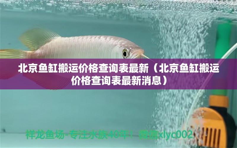 北京魚缸搬運(yùn)價格查詢表最新（北京魚缸搬運(yùn)價格查詢表最新消息）