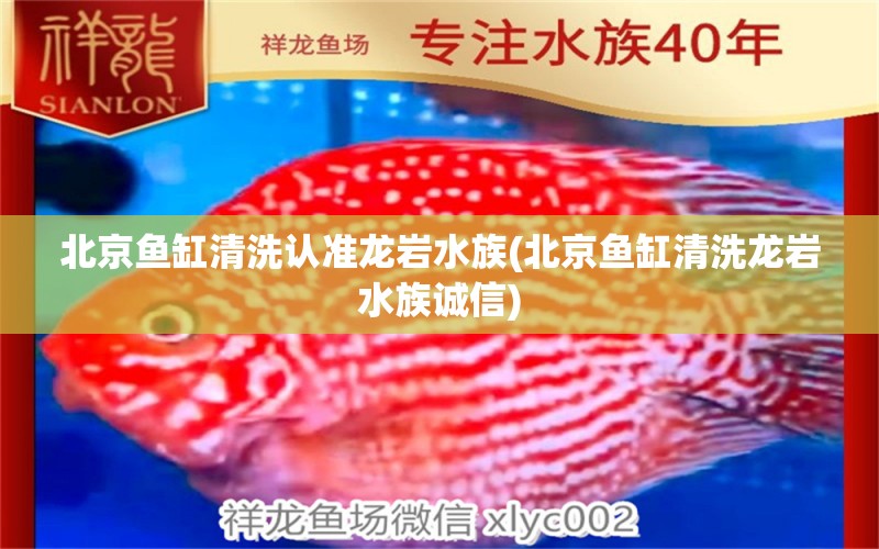 北京魚缸清洗認準龍巖水族(北京魚缸清洗龍巖水族誠信) 斯維尼關刀魚