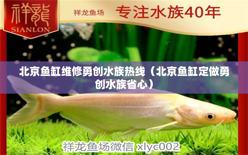 北京魚缸維修勇創(chuàng)水族熱線（北京魚缸定做勇創(chuàng)水族省心）