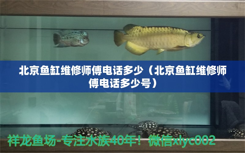 北京魚缸維修師傅電話多少（北京魚缸維修師傅電話多少號） 其他品牌魚缸