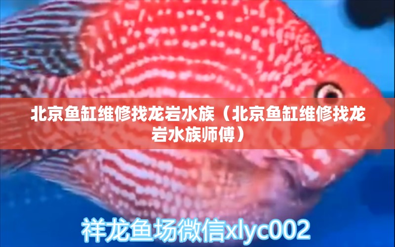 北京魚缸維修找龍巖水族（北京魚缸維修找龍巖水族師傅）