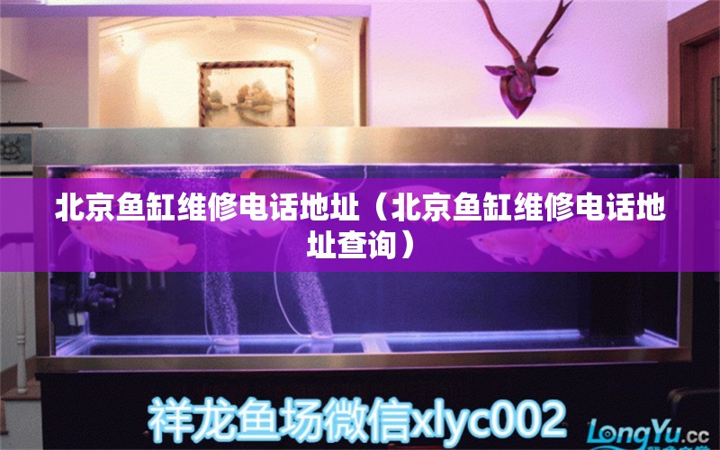 北京魚缸維修電話地址（北京魚缸維修電話地址查詢）