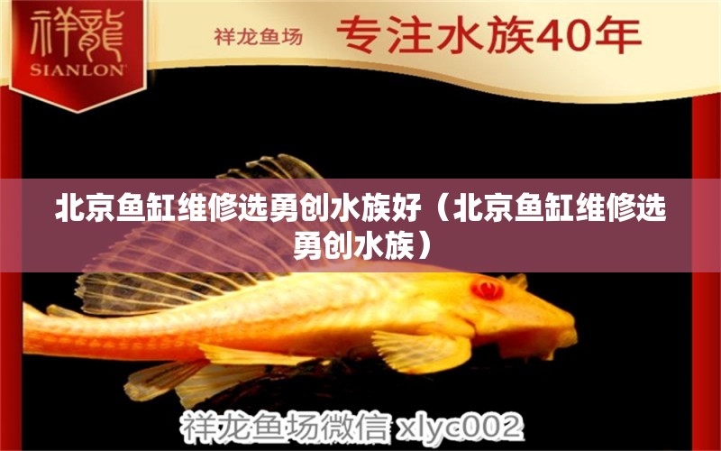 北京魚缸維修選勇創(chuàng)水族好（北京魚缸維修選勇創(chuàng)水族）