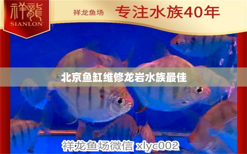 北京魚缸維修龍巖水族最佳