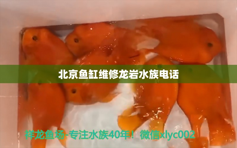 北京魚缸維修龍巖水族電話