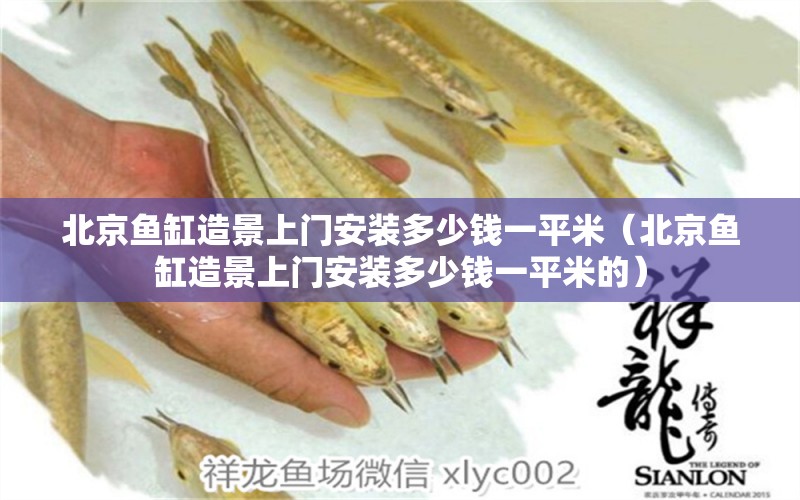 北京魚缸造景上門安裝多少錢一平米（北京魚缸造景上門安裝多少錢一平米的）