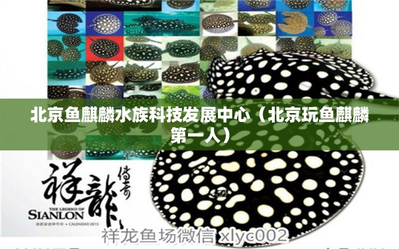 北京魚麒麟水族科技發(fā)展中心（北京玩魚麒麟第一人） 全國水族館企業(yè)名錄