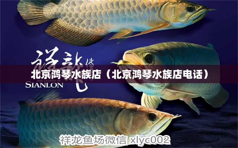 北京鴻琴水族店（北京鴻琴水族店電話） 全國水族館企業(yè)名錄