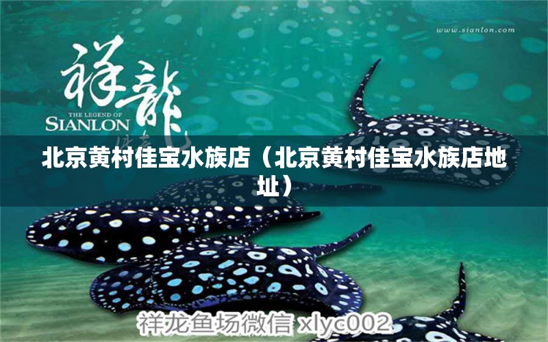 北京黃村佳寶水族店（北京黃村佳寶水族店地址） 全國水族館企業(yè)名錄