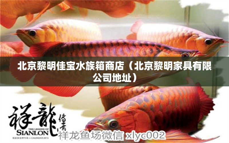 北京黎明佳寶水族箱商店（北京黎明家具有限公司地址） 魚缸/水族箱