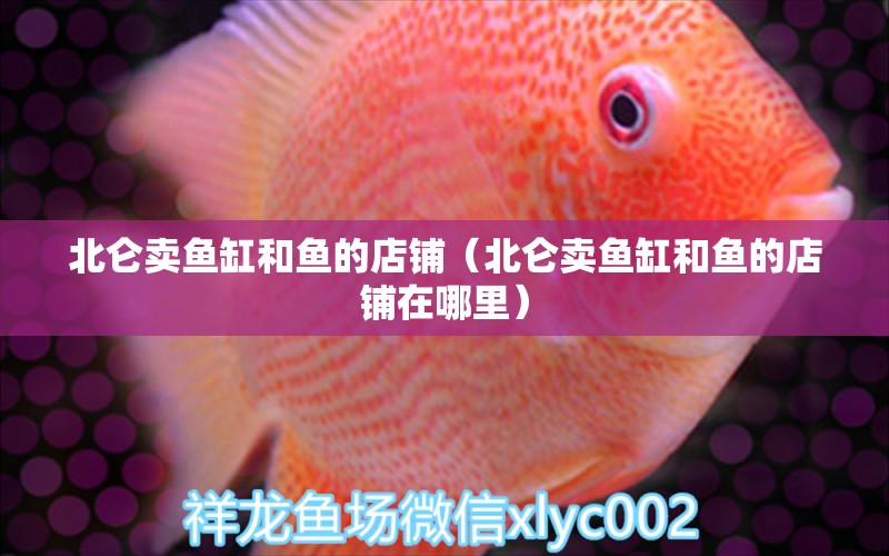 北侖賣魚缸和魚的店鋪（北侖賣魚缸和魚的店鋪在哪里）