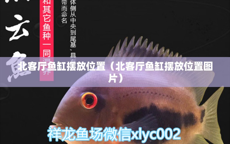 北客廳魚(yú)缸擺放位置（北客廳魚(yú)缸擺放位置圖片） 水族用品