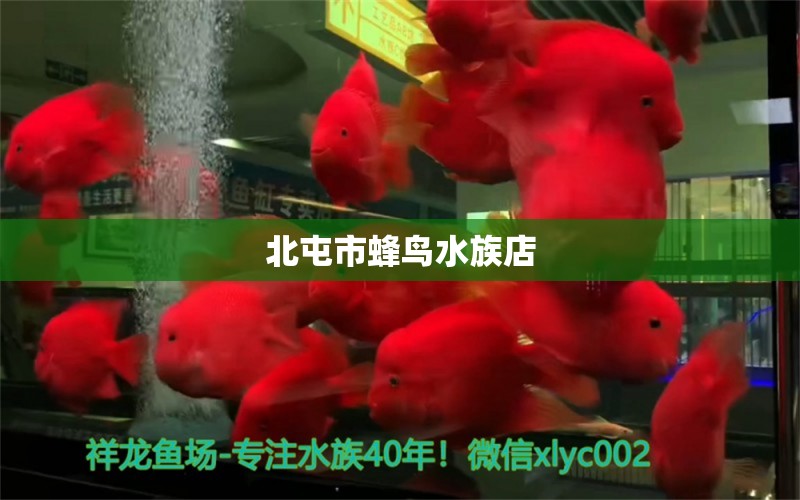 北屯市蜂鳥(niǎo)水族店 全國(guó)水族館企業(yè)名錄