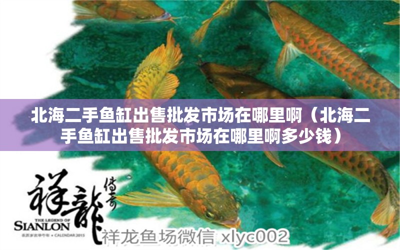 北海二手魚缸出售批發(fā)市場在哪里?。ū焙６拄~缸出售批發(fā)市場在哪里啊多少錢）