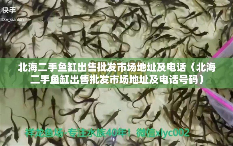 北海二手魚(yú)缸出售批發(fā)市場(chǎng)地址及電話（北海二手魚(yú)缸出售批發(fā)市場(chǎng)地址及電話號(hào)碼）