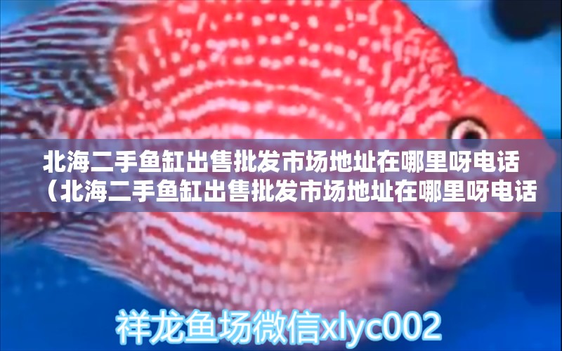 北海二手魚缸出售批發(fā)市場地址在哪里呀電話（北海二手魚缸出售批發(fā)市場地址在哪里呀電話號碼）