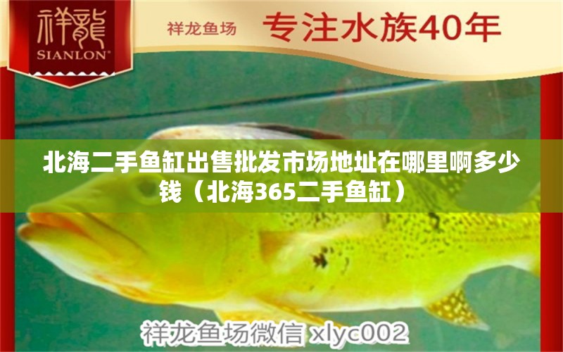 北海二手魚缸出售批發(fā)市場地址在哪里啊多少錢（北海365二手魚缸）