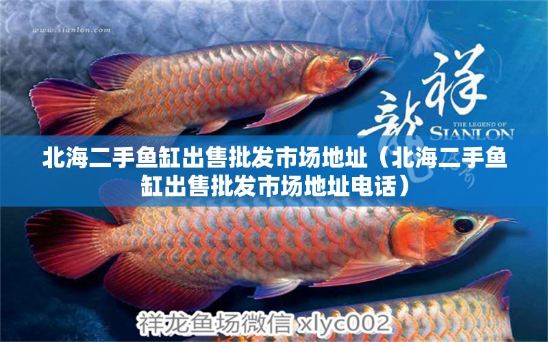 北海二手魚缸出售批發(fā)市場地址（北海二手魚缸出售批發(fā)市場地址電話）