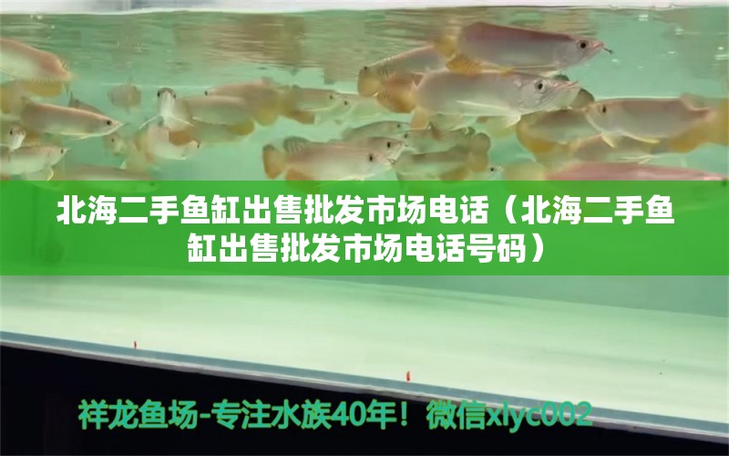 北海二手魚缸出售批發(fā)市場電話（北海二手魚缸出售批發(fā)市場電話號碼）