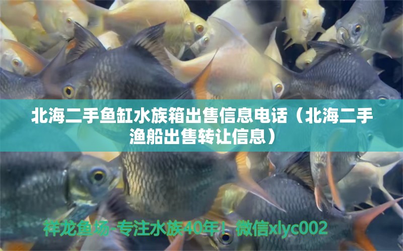 北海二手魚缸水族箱出售信息電話（北海二手漁船出售轉(zhuǎn)讓信息） 魚缸/水族箱