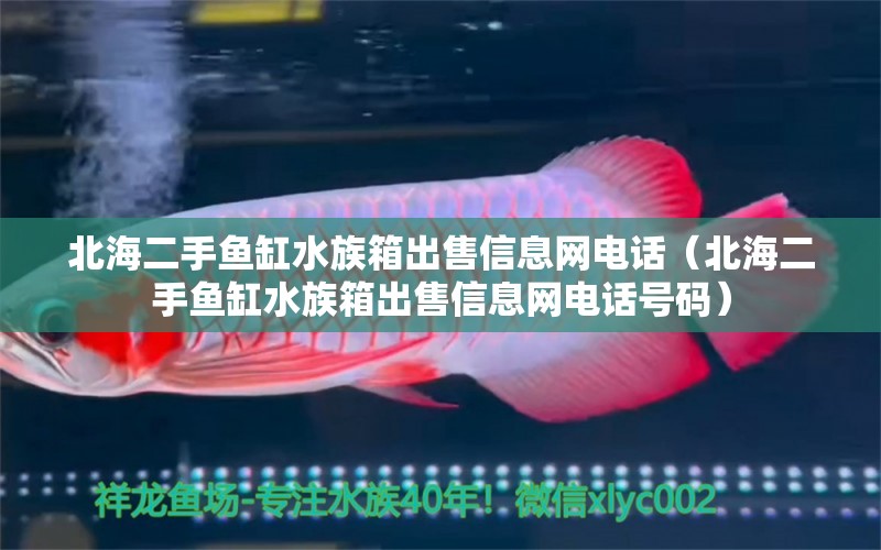 北海二手魚缸水族箱出售信息網(wǎng)電話（北海二手魚缸水族箱出售信息網(wǎng)電話號碼）