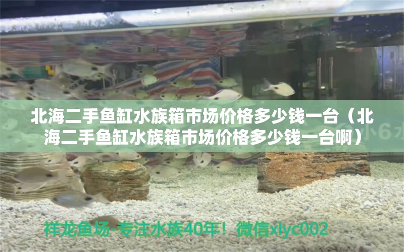 北海二手魚(yú)缸水族箱市場(chǎng)價(jià)格多少錢(qián)一臺(tái)（北海二手魚(yú)缸水族箱市場(chǎng)價(jià)格多少錢(qián)一臺(tái)?。? title=