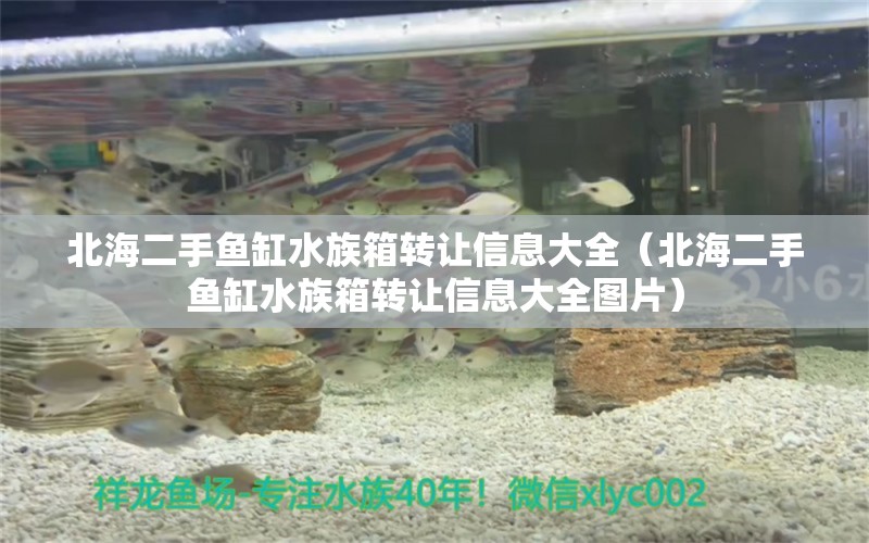 北海二手魚缸水族箱轉讓信息大全（北海二手魚缸水族箱轉讓信息大全圖片）