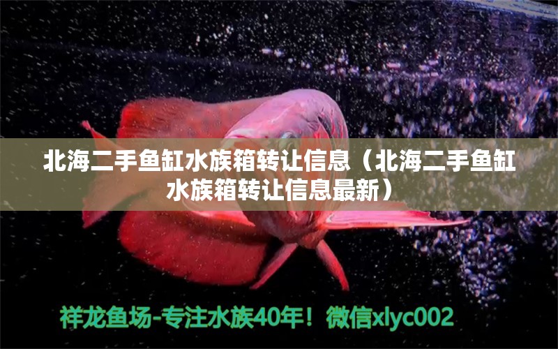 北海二手魚缸水族箱轉(zhuǎn)讓信息（北海二手魚缸水族箱轉(zhuǎn)讓信息最新）