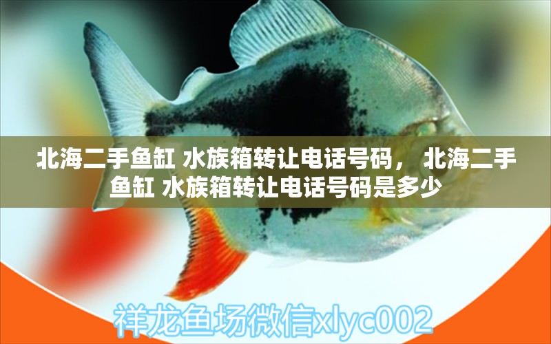 北海二手魚缸 水族箱轉(zhuǎn)讓電話號碼， 北海二手魚缸 水族箱轉(zhuǎn)讓電話號碼是多少