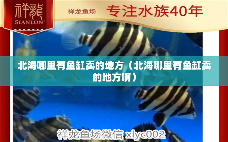 北海哪里有魚缸賣的地方（北海哪里有魚缸賣的地方?。? title=