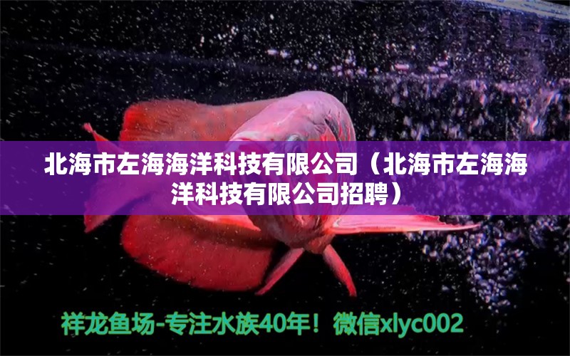 北海市左海海洋科技有限公司（北海市左海海洋科技有限公司招聘）