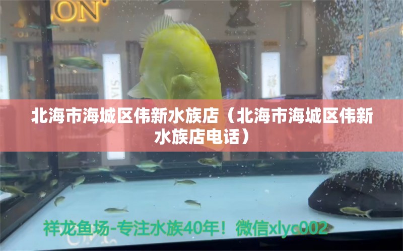 北海市海城區(qū)偉新水族店（北海市海城區(qū)偉新水族店電話） 全國(guó)水族館企業(yè)名錄