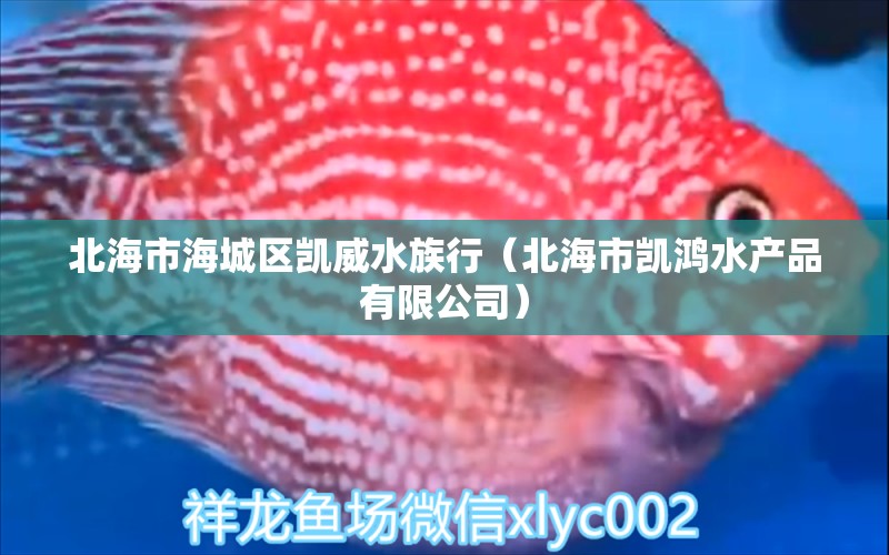 北海市海城區(qū)凱威水族行（北海市凱鴻水產(chǎn)品有限公司）