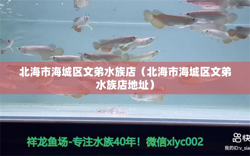 北海市海城區(qū)文弟水族店（北海市海城區(qū)文弟水族店地址）