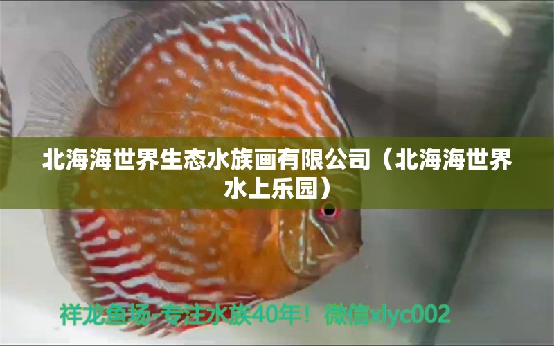 北海海世界生態(tài)水族畫有限公司（北海海世界水上樂園）