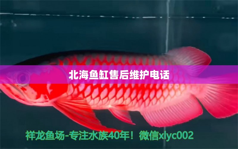 北海魚缸售后維護電話 其他品牌魚缸