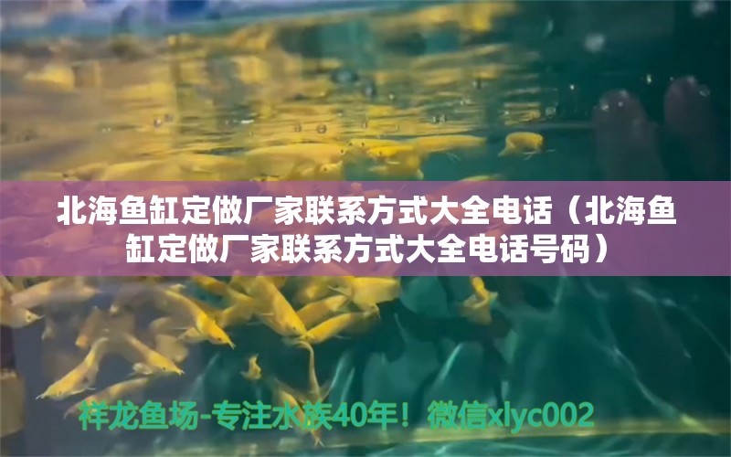 北海魚缸定做廠家聯(lián)系方式大全電話（北海魚缸定做廠家聯(lián)系方式大全電話號碼） 量子養(yǎng)魚技術(shù)