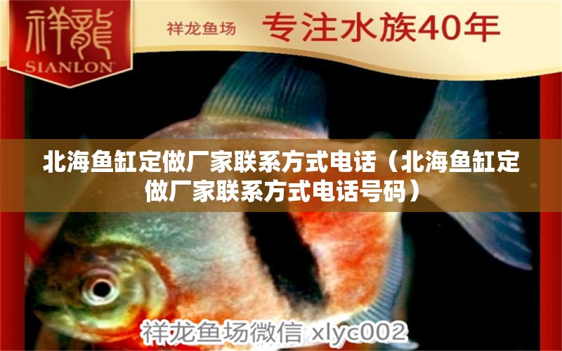 北海魚缸定做廠家聯(lián)系方式電話（北海魚缸定做廠家聯(lián)系方式電話號碼）