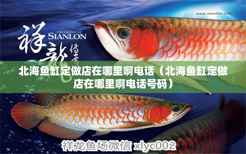 北海魚(yú)缸定做店在哪里啊電話（北海魚(yú)缸定做店在哪里啊電話號(hào)碼） 紅白錦鯉魚(yú)