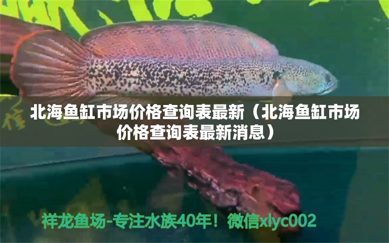 北海魚缸市場(chǎng)價(jià)格查詢表最新（北海魚缸市場(chǎng)價(jià)格查詢表最新消息）