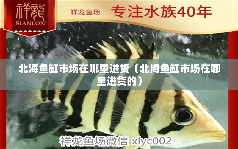 北海魚缸市場(chǎng)在哪里進(jìn)貨（北海魚缸市場(chǎng)在哪里進(jìn)貨的） 其他品牌魚缸