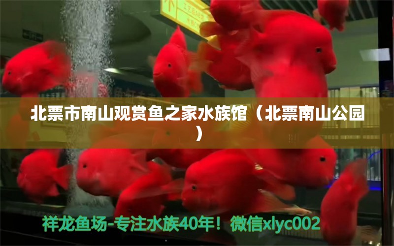 北票市南山觀賞魚之家水族館（北票南山公園）