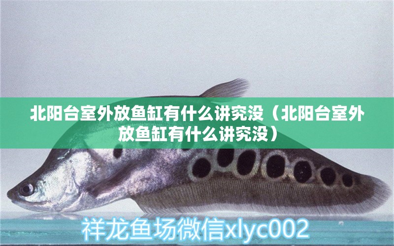 北陽(yáng)臺(tái)室外放魚(yú)缸有什么講究沒(méi)（北陽(yáng)臺(tái)室外放魚(yú)缸有什么講究沒(méi)）