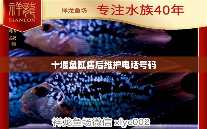 十堰魚缸售后維護(hù)電話號(hào)碼 其他品牌魚缸